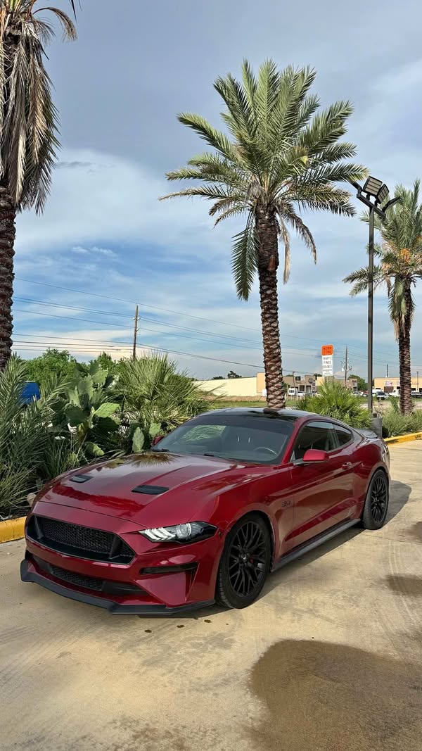 2018 Ford Mustang - GT Coupe 2D