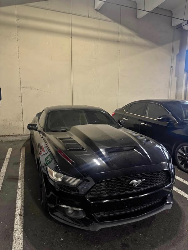 2015 Ford Mustang - EcoBoost Coupe 2D