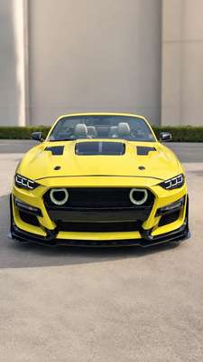 2019 Ford Mustang - GT