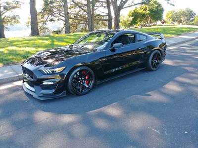 2019 Ford Mustang - Shelby GT350R Coupe 2D