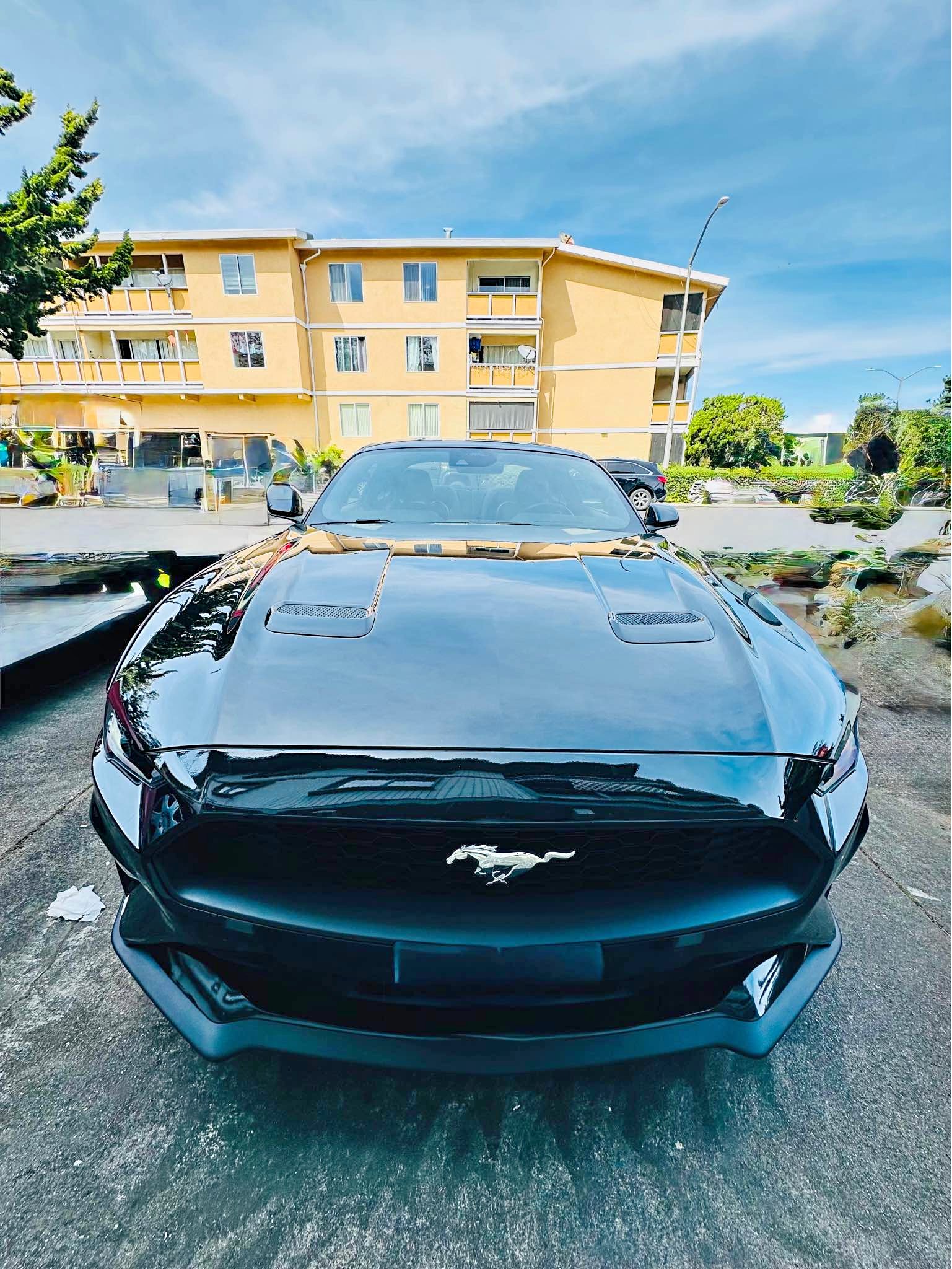 2021 Ford Mustang - Coupe 2D