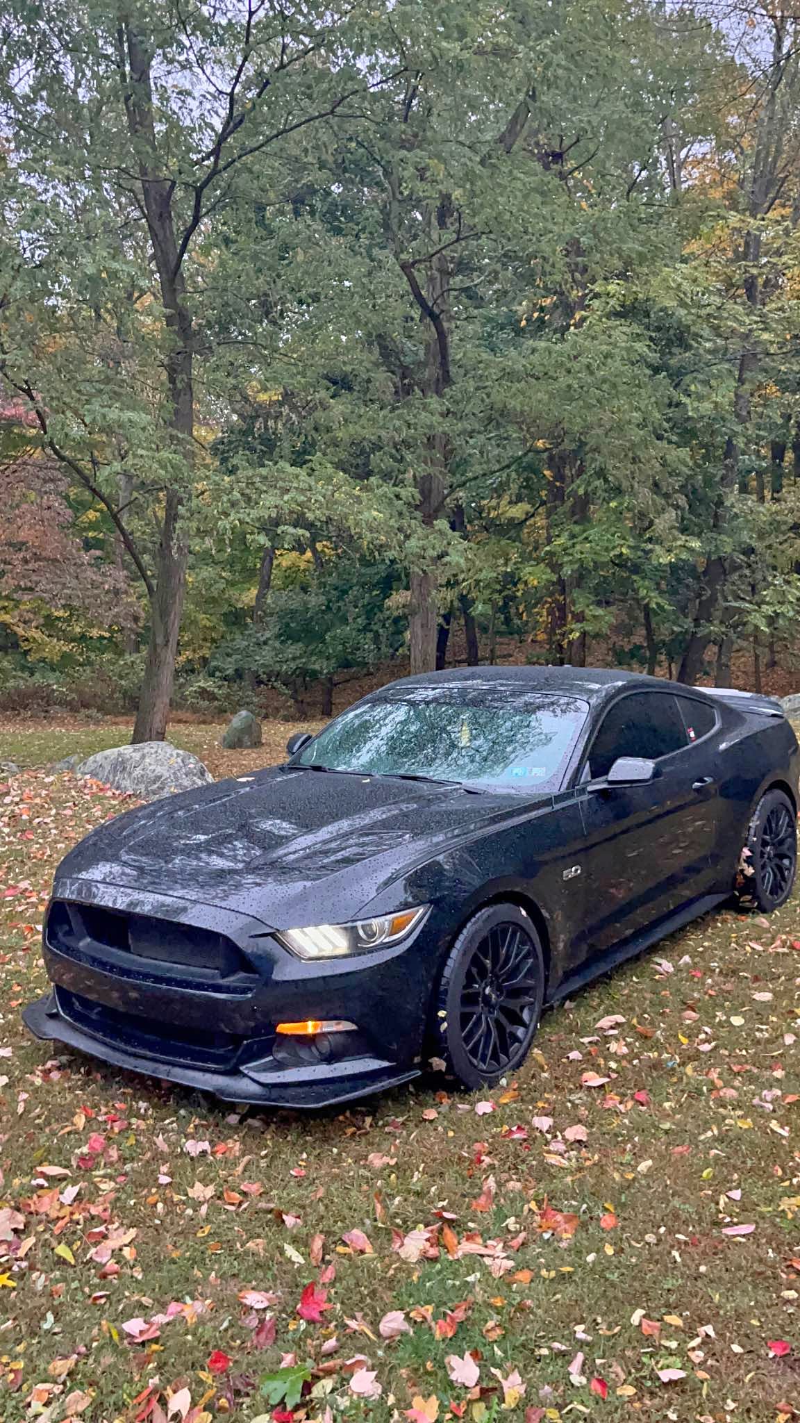 2015 Ford Mustang - GT Premium Coupe 2D