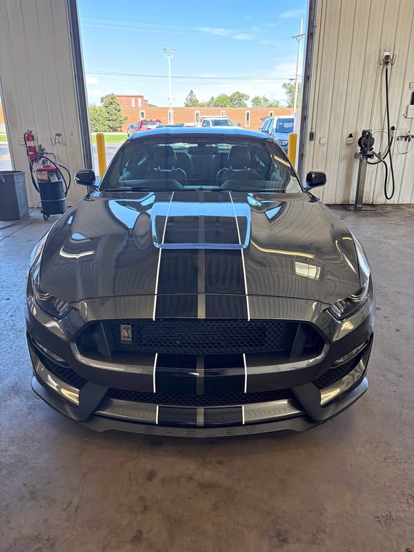 2018 Ford Mustang - Shelby GT350 Coupe 2D