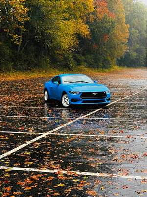 2024 Ford Mustang - Eco