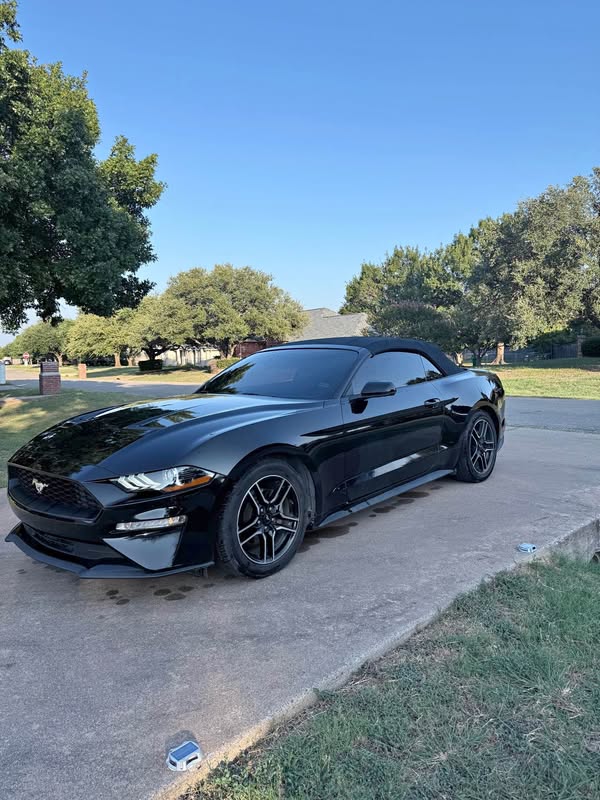 2018 Ford Mustang - EcoBoost Convertible 2D
