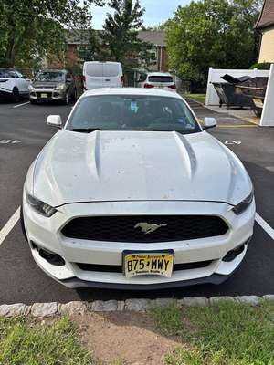 2017 Ford Mustang - EcoBoost Coupe 2D