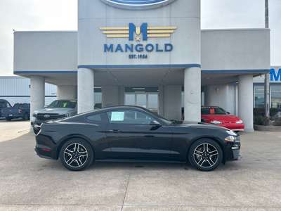 2021 Ford Mustang EcoBoost