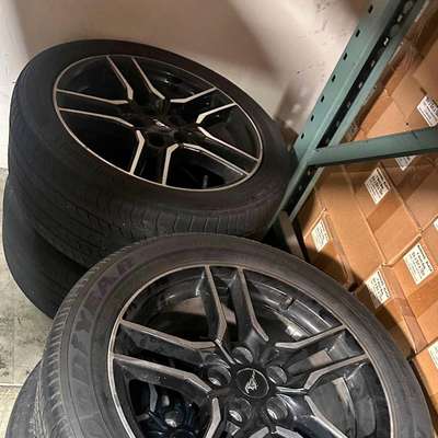 2019 Ford Mustang - gt