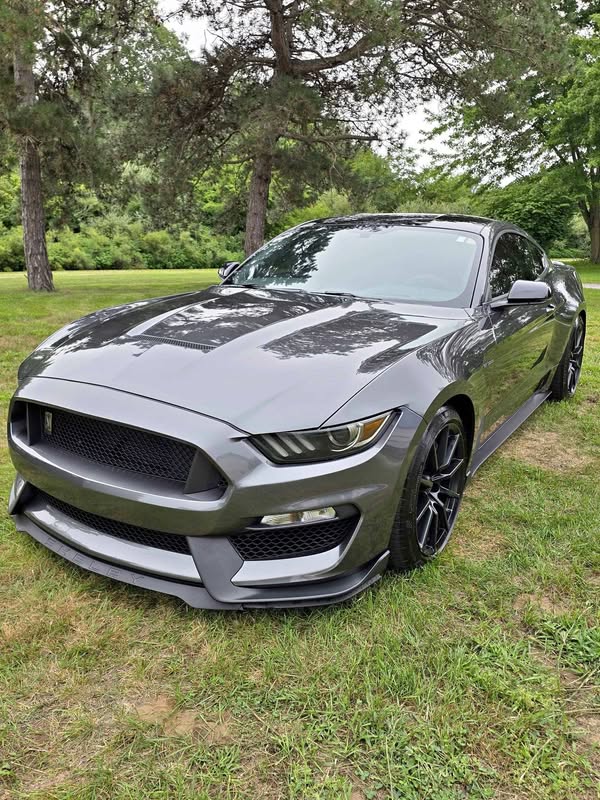 2016 Ford Mustang - Shelby GT350 Coupe 2D