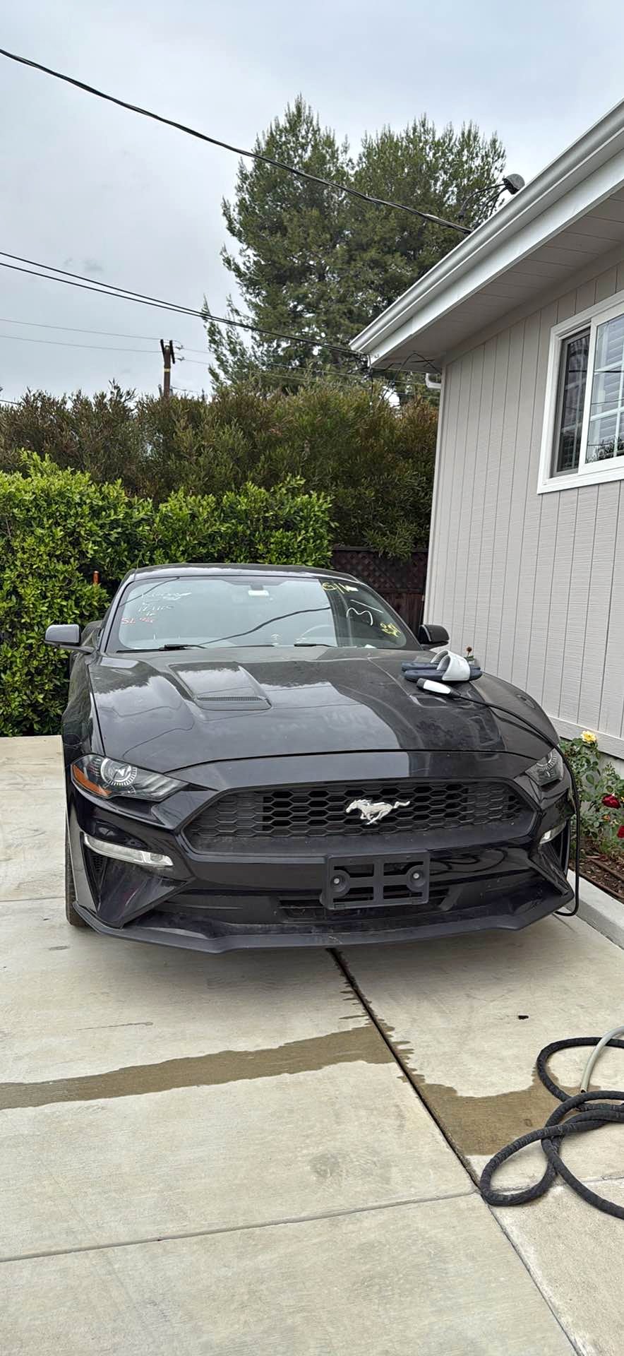 2018 Ford Mustang - Premium