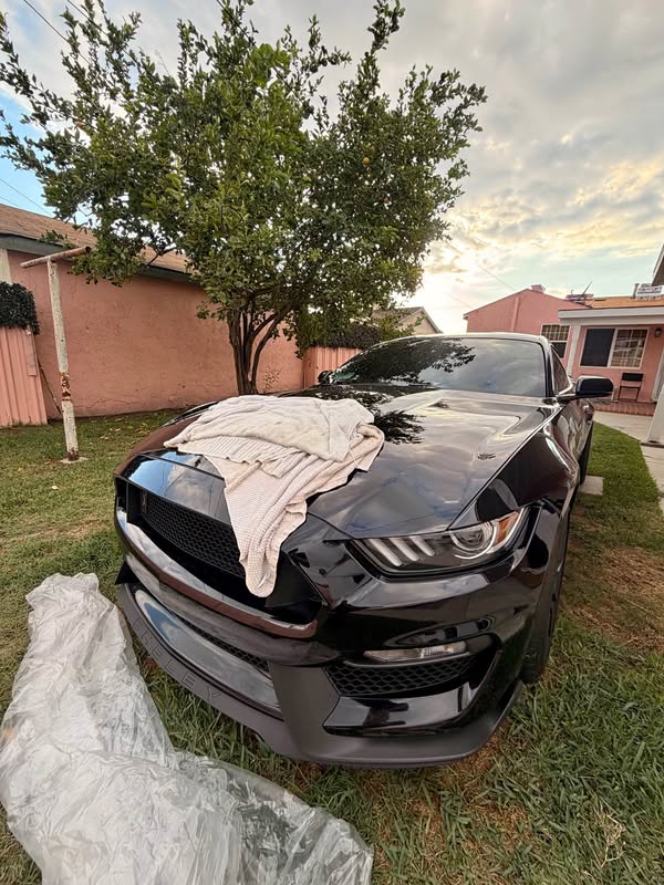2018 Ford Mustang - Shelby GT350 Coupe 2D