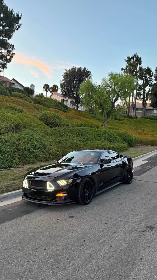 2016 Ford Mustang - EcoBoost Coupe 2D