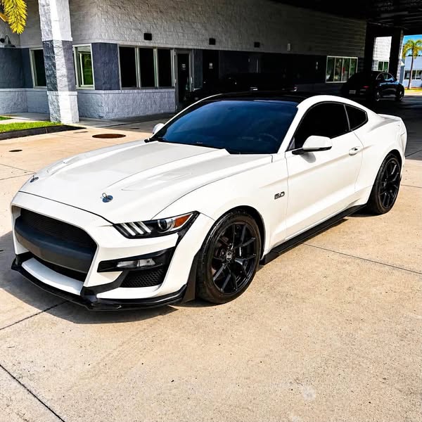 2015 Ford Mustang - GT 50 Years Limited Edition Coupe 2D