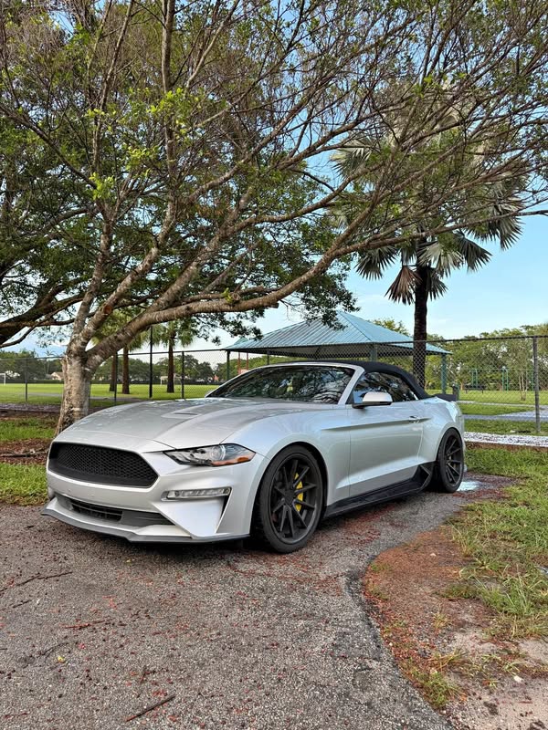 2019 Ford Mustang - EcoBoost Premium Convertible 2D