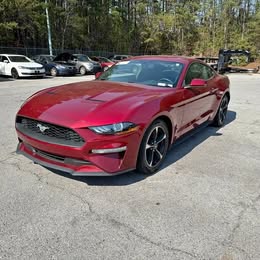 2019 Ford Mustang EcoBoost \ud83e\udd18 111631 Miles
