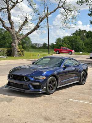 2019 Ford Mustang - EcoBoost Coupe 2D