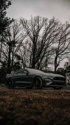 2020 Ford Mustang - EcoBoost Premium Coupe 2D