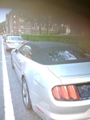 2016 Ford Mustang - Cobra Convertible 2D