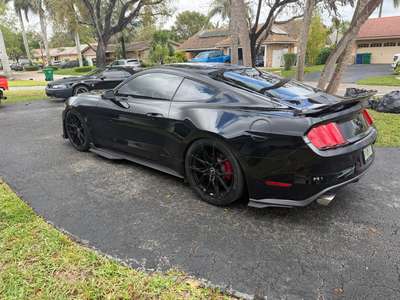 2015 Ford Mustang - EcoBoost Coupe 2D