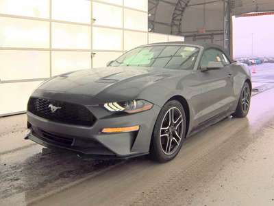2023 Ford Mustang