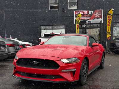 2023 Ford Mustang Cobra Coupe 2D