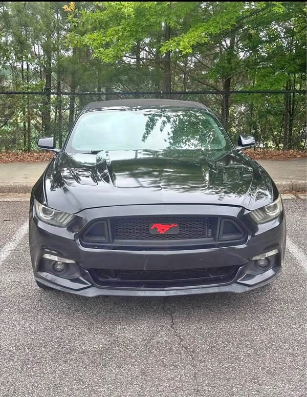 2015 Ford Mustang - EcoBoost Coupe 2D