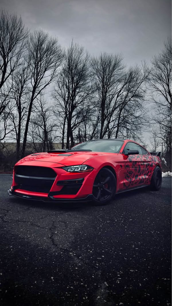 2021 Ford Mustang - EcoBoost Coupe 2D