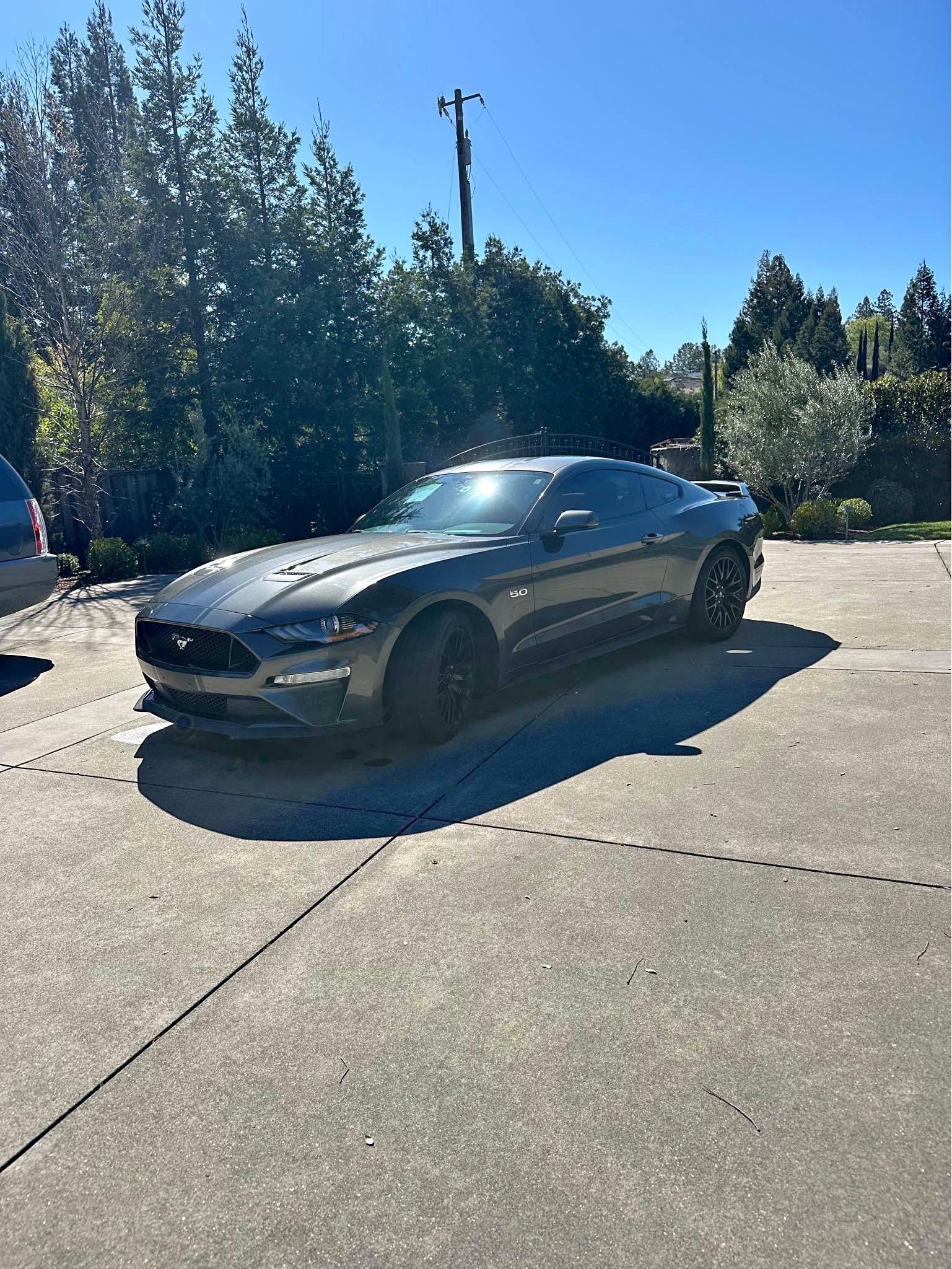 2019 Ford Mustang - GT Premium