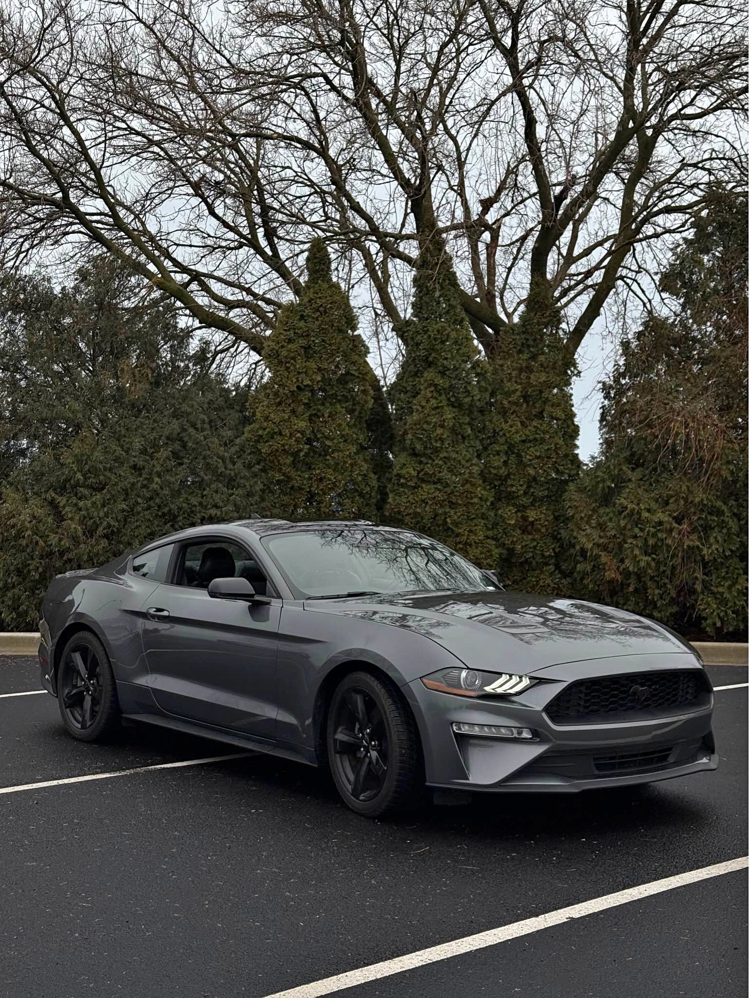2021 Ford Mustang - EcoBoost Coupe 2D