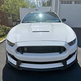 2019 Ford mustang gt350 shelby