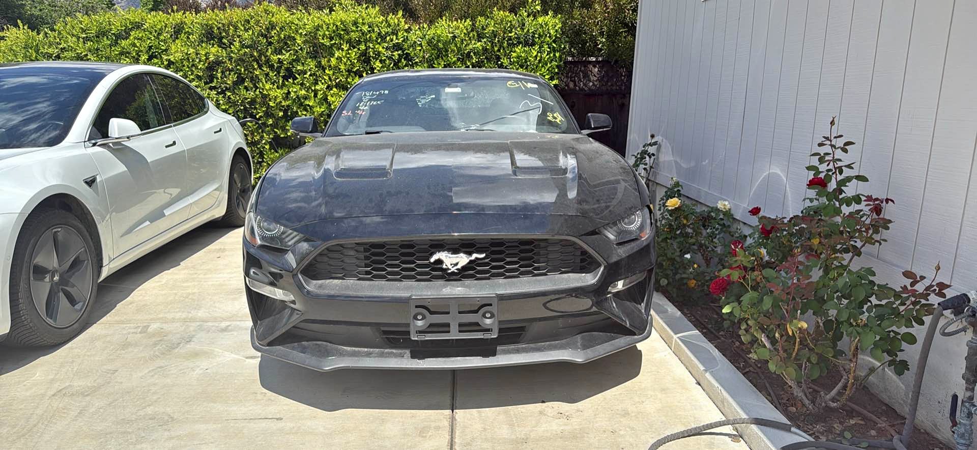 2018 Ford Mustang - Premium