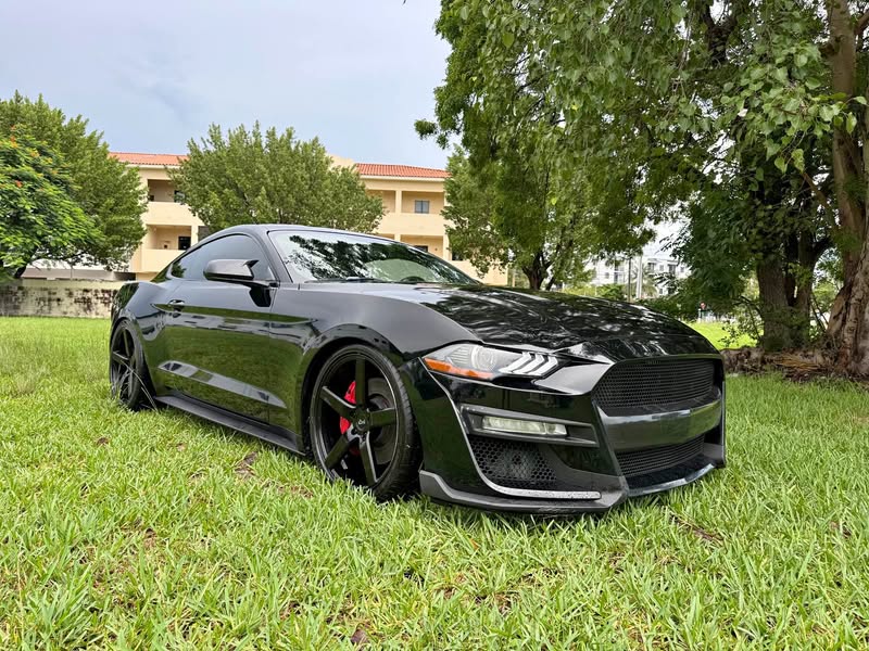 2019 Ford Mustang - GT Deluxe Coupe 2D