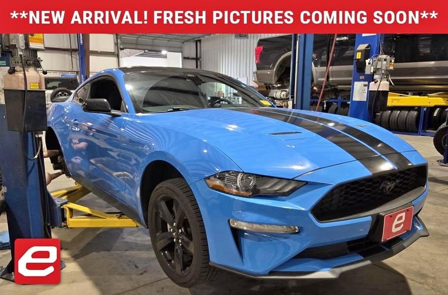 2023 Ford Mustang EcoBoost \ud83e\udd18 40500 Miles