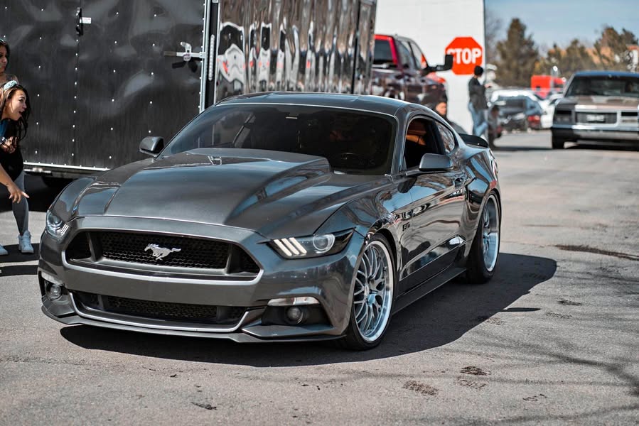 2015 Ford Mustang - GT 50 Years Limited Edition Coupe 2D