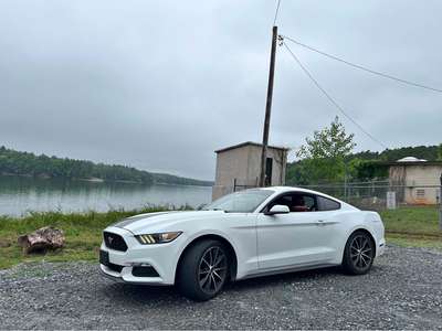 2016 Ford Mustang - V6 Coupe 2D