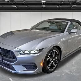 2024 Ford Mustang EcoBoost Premium \ud83e\udd18 49703 Miles