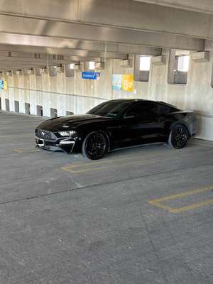2018 Ford Mustang - EcoBoost Coupe 2D