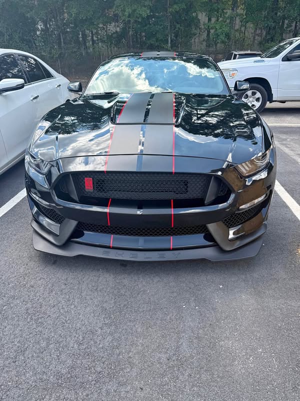 2019 Ford Mustang Shelby  - GT350R