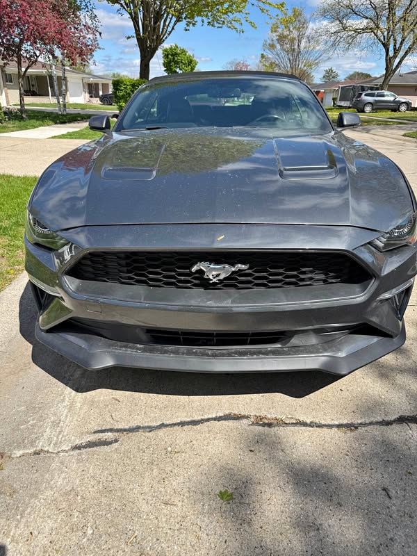 2020 Ford Mustang - EcoBoost Premium Convertible 2D
