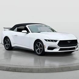 2024 Ford Mustang EcoBoost Premium \ud83e\udd18 36747 Miles