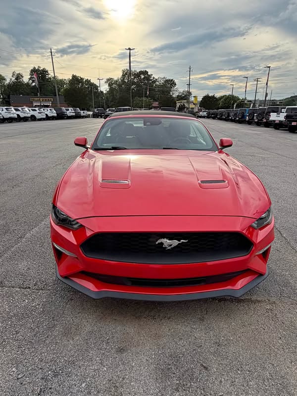 2023 Ford Mustang - EcoBoost Premium Convertible 2D