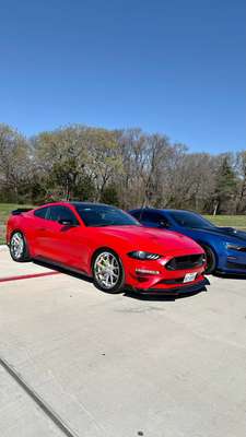 2019 Ford Mustang - EcoBoost Premium Coupe 2D
