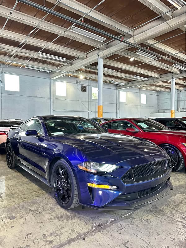 2019 Ford Mustang - GT Coupe 2D