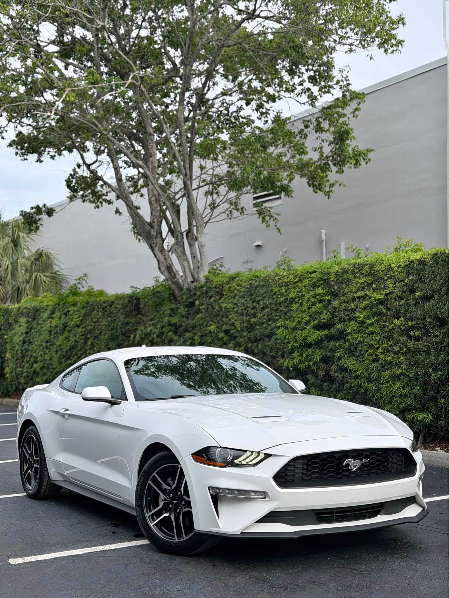 2022 Ford Mustang - EcoBoost Premium Coupe 2D