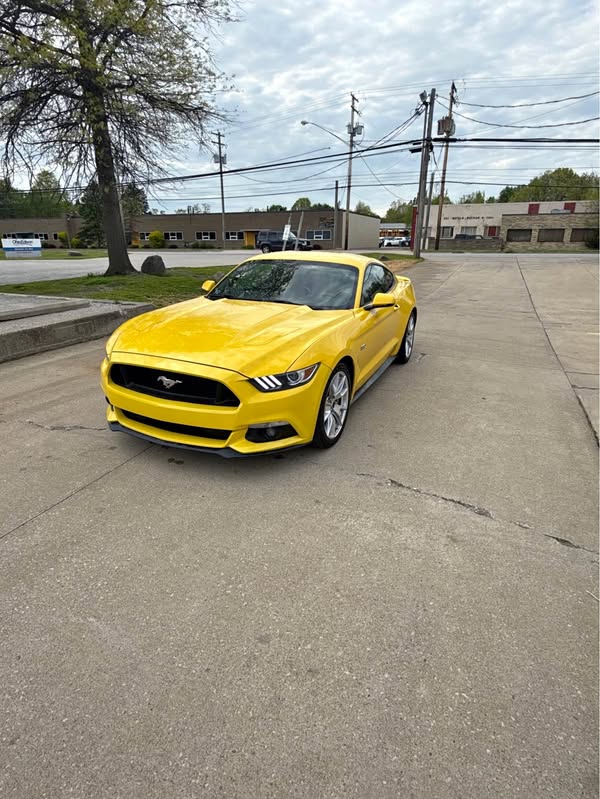 2015 Ford Mustang - GT 50 Years Limited Edition Coupe 2D