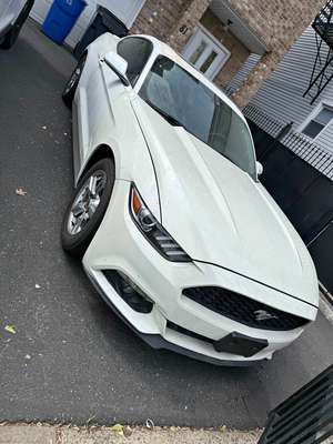 2015 Ford Mustang - 2.3L Ecoboost