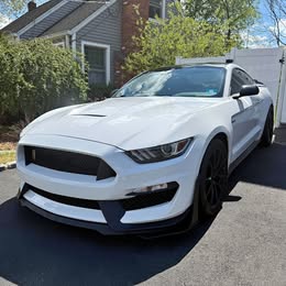 2019 Ford mustang gt350 shelby