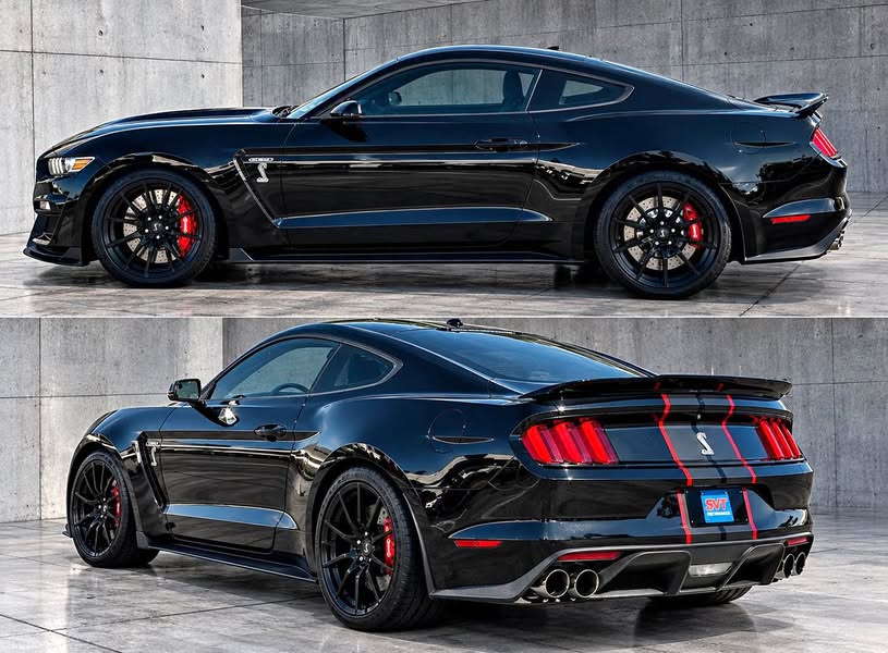 2017 Ford Mustang - SHELBY GT350