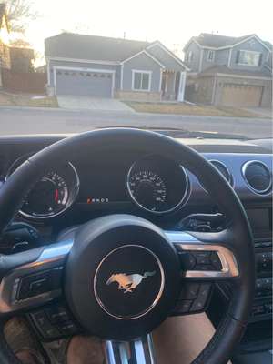 2017 Ford Mustang - EcoBoost Coupe 2D