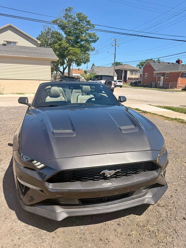 2019 Ford Mustang - EcoBoost Convertible 2D